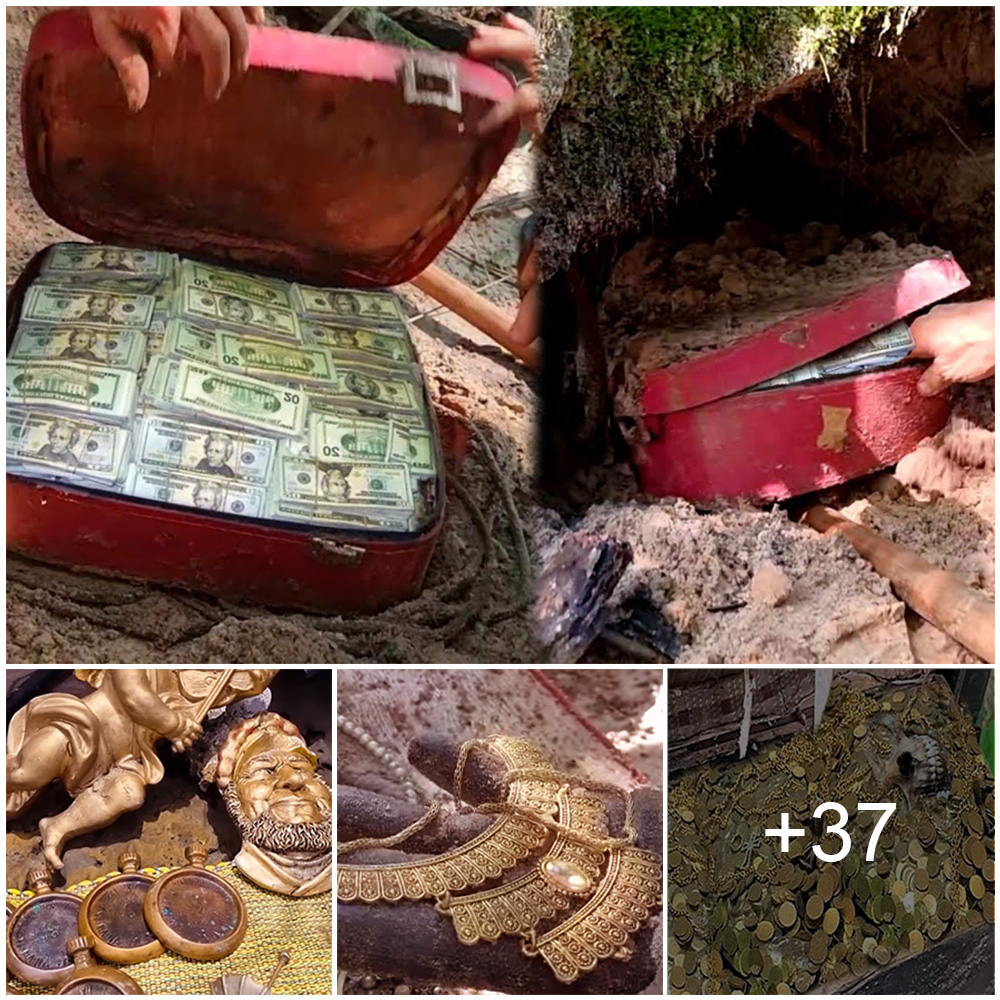 Biggest Treasures Found on the Beach 2022 (Video)